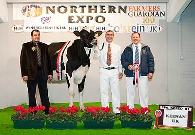 Honourable Mention - Saxelby Goldwyn Rose