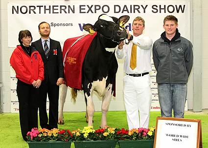 Grand Champion Northern Dairy Expo 2011 From Left : Marion Challenor -WWS, Giuseppe Beltramino -Judge, Brian Yates, Michael Yates