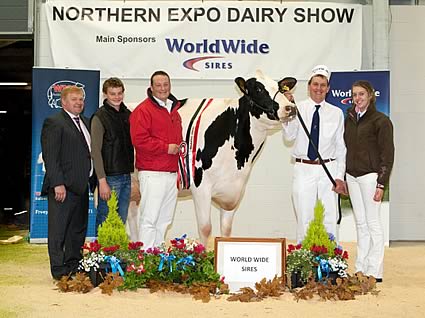 Grand Champion with left to right - Mick Gould (Judge) William Booth, Andrew Holliday of World Wide Sires (Sponsor) David Booth and Hannah Booth