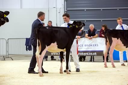 Northern Dairy Expo 2014